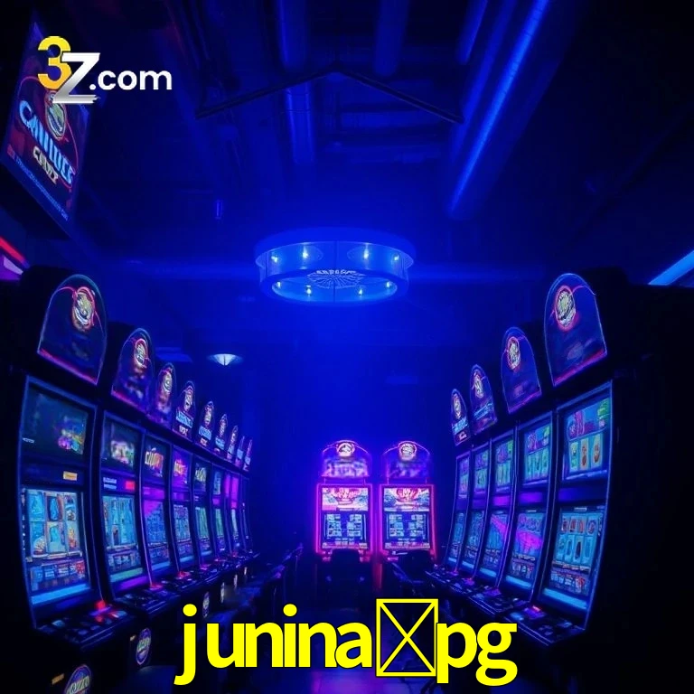 junina-pg App Security